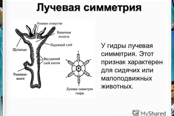 Кракен маркет что это