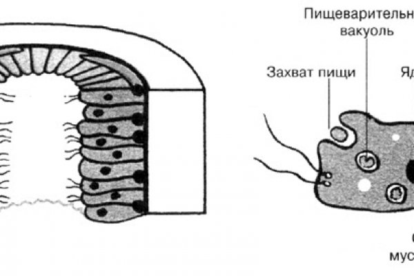 Кракен войти