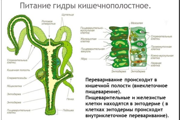 Кракен официальный