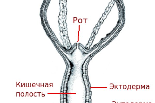 Кракен 24