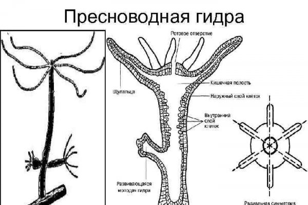 Почему не закрыт сайт кракен